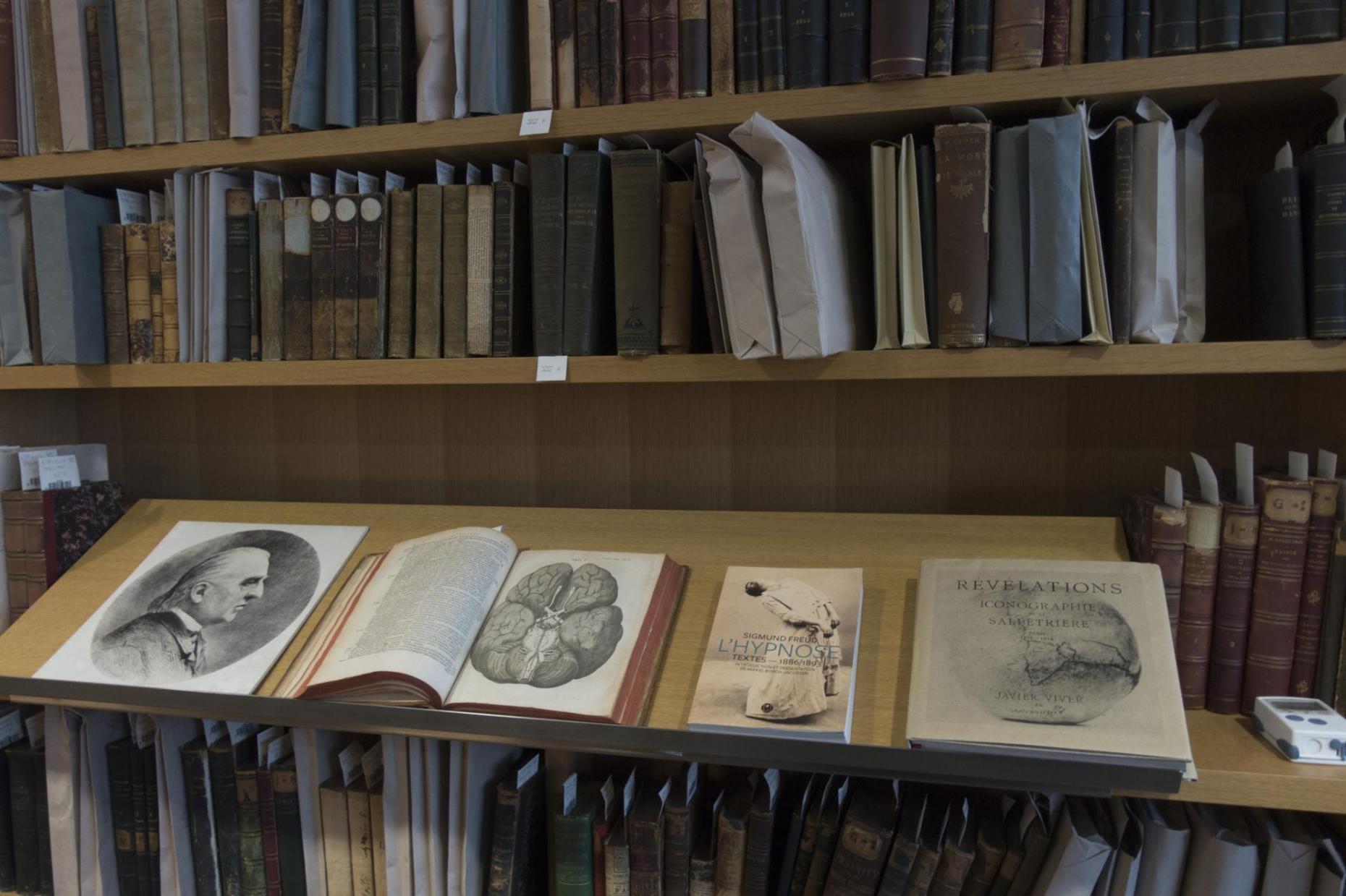 The Charcot library | Sorbonne Université| Santé