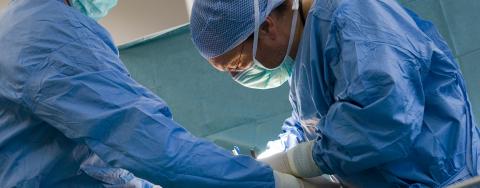 stage chirurgie