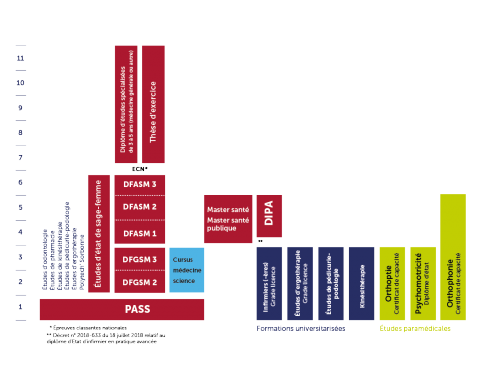 schema des études de médecine 2020