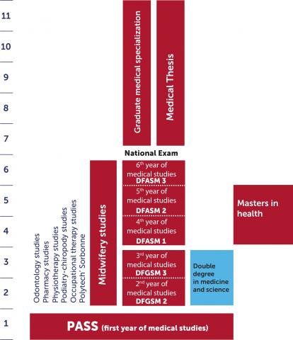 Medical studies diagram