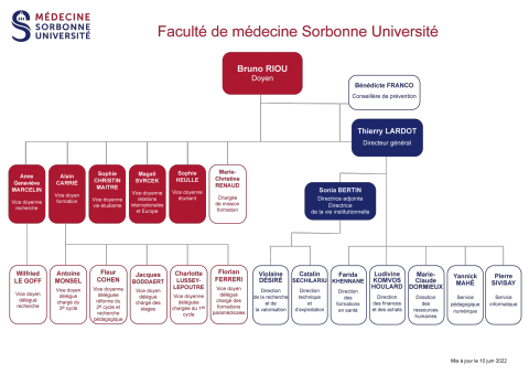 organigramme faculté de médecine 2022