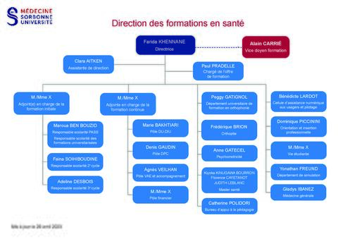 organigramme DFS 2023
