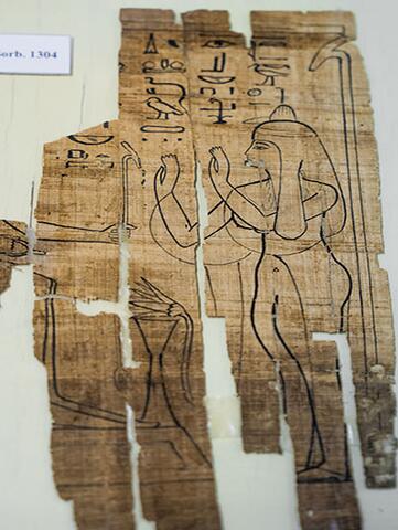 À la découverte de l'Institut de papyrologie À la découverte de l'Institut de papyrologie
